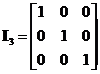 Identity Matrix