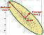 Principal Component Analysis (PCA) Tutorial